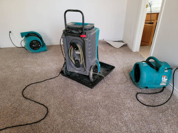 Best Flooded house restoration  in Los Molinos, CA
