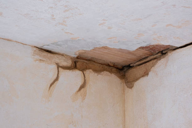 Water damage restoration experts