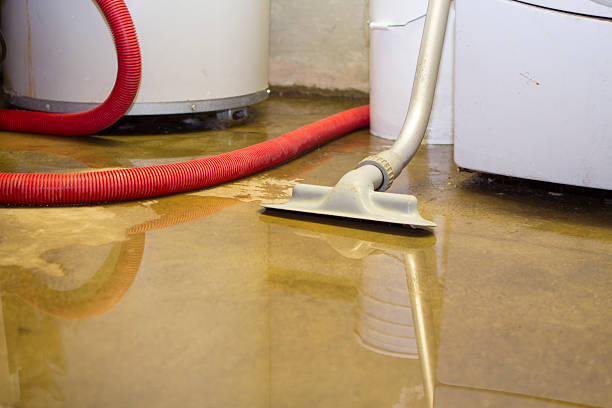 Carpet water damage restoration in Los Molinos, CA